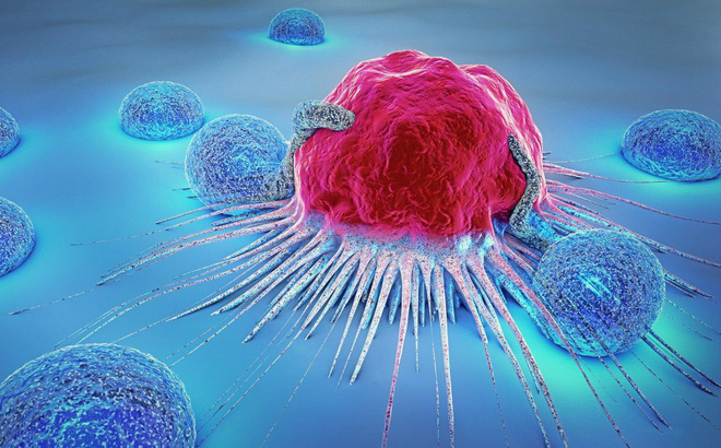 Neoplasms 