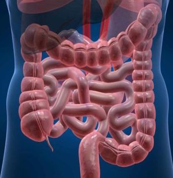 Diseases of the digestive system 