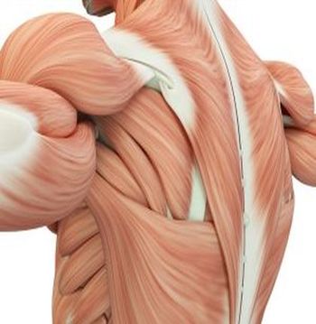 Diseases of the musculoskeletal system and connective tissue 