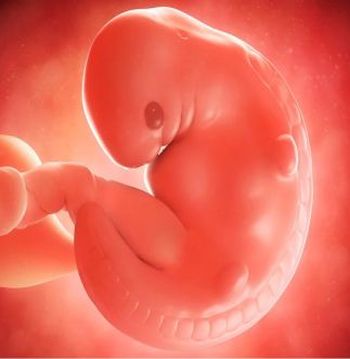 Pregnancy, childbirth and the puerperium 